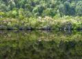 Reflections 4.jpg